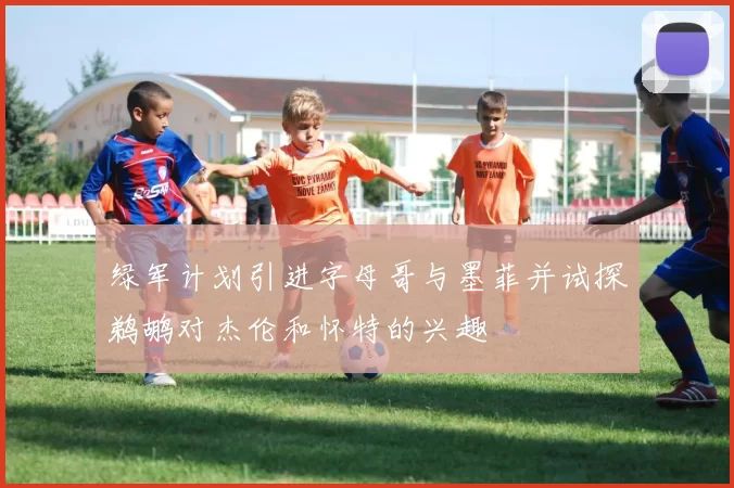 绿军计划引进字母哥与墨菲并试探鹈鹕对杰伦和怀特的兴趣